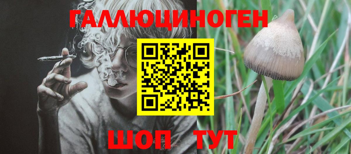 Морозовск  Галлюциногенные грибы мицелий  Вход с VPN 