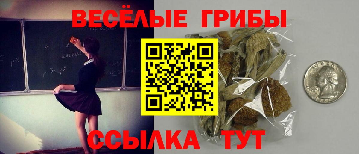 Псилоцибиновые грибы мухоморы Морозовск